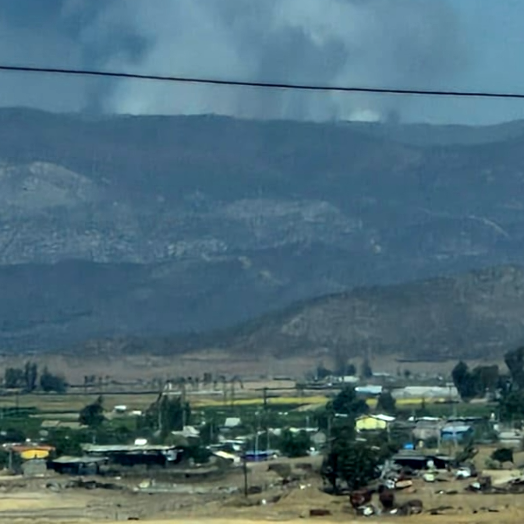 Incendio Forestal Afecta 300 Hectáreas en la Sierra de Juárez en Ensenada, BC